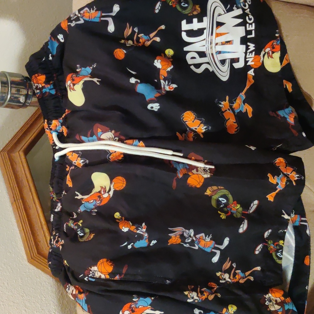 Space Jam Swim trunks